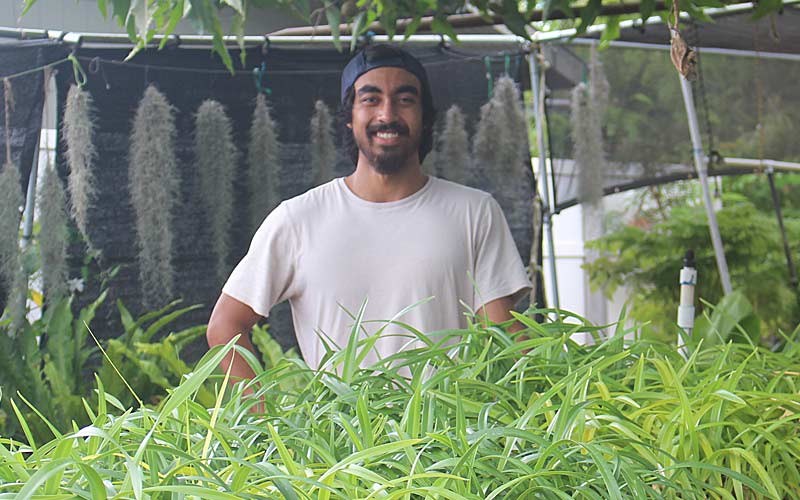 Hawaiian Community Assets Financial Assistance for Native Hawaiians homeownership and rent assistance and help for farmers hawaii